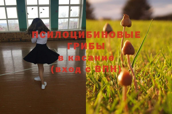 бутират Алзамай
